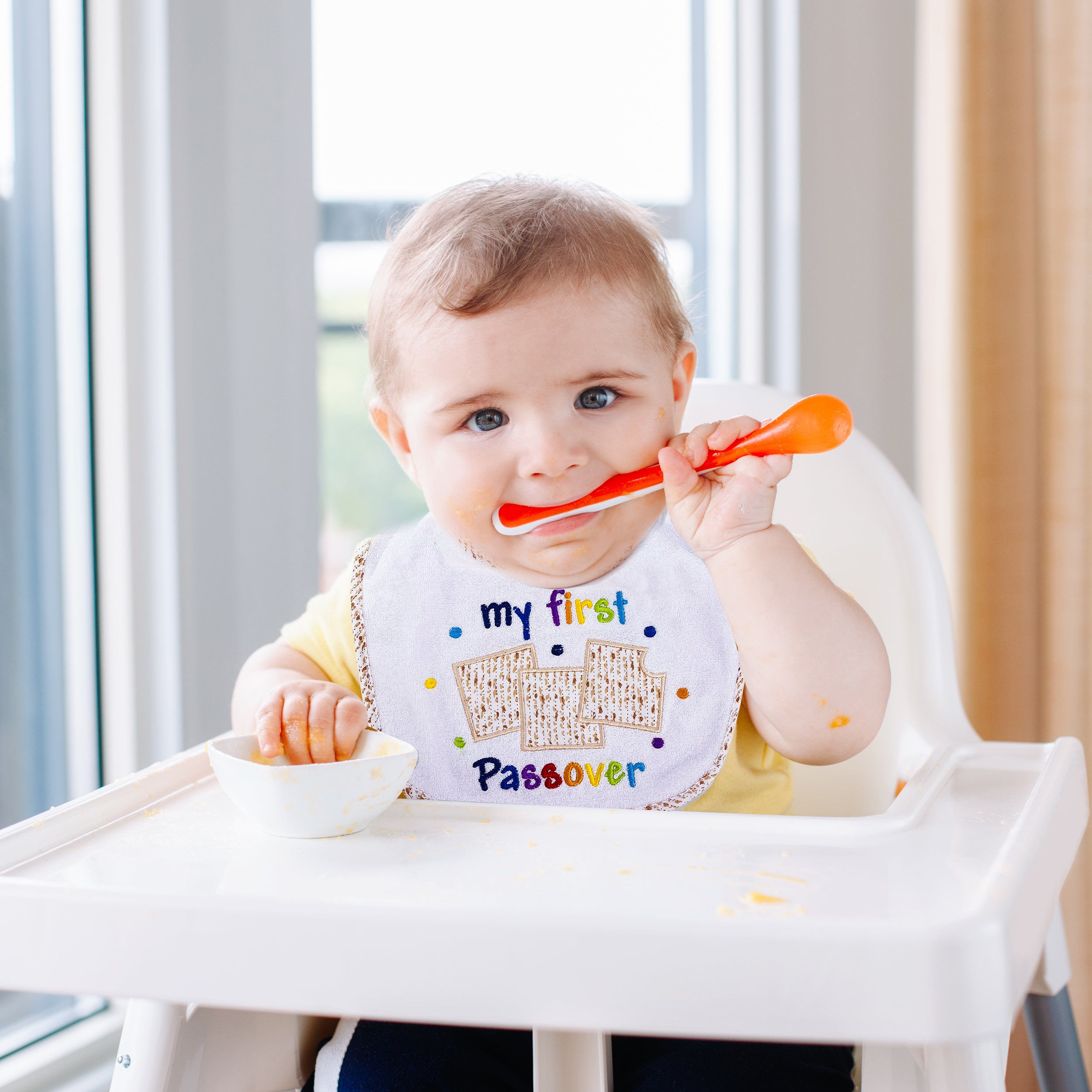 Passover Bib